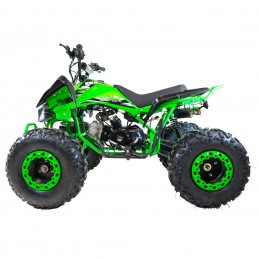 Quad / Mini Quad - QUAD 125cc New Scorpion RUOTA 8\\" - 4 MARCE KXD