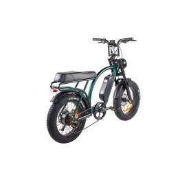 Bici Elettriche - BICI ELETTRICA LEGACY 2.0 – ZT-86B