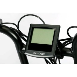 Bici Elettriche - BICI ELETTRICA LEGACY 2.0 – ZT-86B