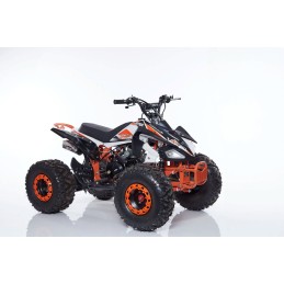 Quad / Mini Quad - QUAD 125cc New Scorpion RUOTA 8\\" - 4 MARCE KXD