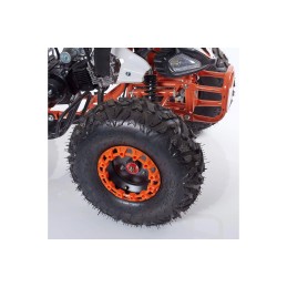 Quad / Mini Quad - QUAD 125cc New Scorpion RUOTA 8\\" - 4 MARCE KXD