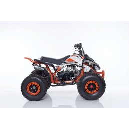 Quad / Mini Quad - QUAD 125cc New Scorpion RUOTA 8\\" - 4 MARCE KXD